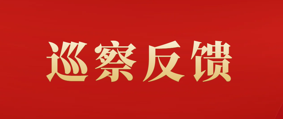 市委第二巡察組向市骨科(kē)醫(yī)院黨支部反饋巡察情況